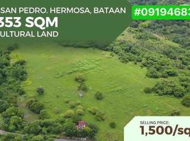  Land for sale in Bataan, Central Luzon, Hermosa, Bataan