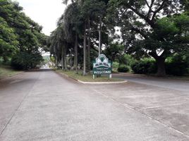  Land for sale in Binan City, Laguna, Binan City