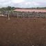  Land for sale in Dzoncauich, Yucatan, Dzoncauich