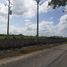  Land for sale in Dzoncauich, Yucatan, Dzoncauich