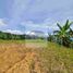  Terrain for sale in Jardin, Antioquia, Jardin