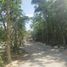  Land for sale in Cozumel, Quintana Roo, Cozumel, Quintana Roo