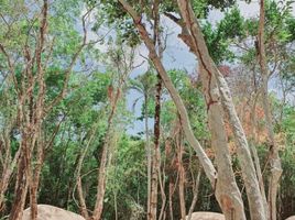  Land for sale in Cozumel, Quintana Roo, Cozumel, Quintana Roo