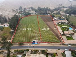  Land for sale in Cieneguilla, Lima, Cieneguilla