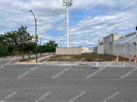  Terreno (Parcela) en alquiler en Cozumel, Quintana Roo, Cozumel, Quintana Roo