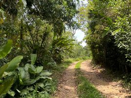  Terreno (Parcela) en venta en Matanza, Santander, Matanza