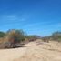  Land for sale in La Paz, Baja California Sur, La Paz, Baja California Sur