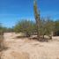  Land for sale in La Paz, Baja California Sur, La Paz, Baja California Sur