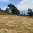  Land for sale in Azuay, Cuenca, Cuenca, Azuay