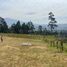  Land for sale in Cathedral of the Immaculate Conception, Cuenca, Cuenca, Cuenca