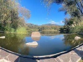  Land for sale in Huimilpan, Queretaro, Huimilpan