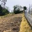  Land for sale in Paccha, Azuay, Paccha