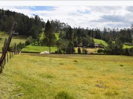  Terreno (Parcela) en venta en Tarqui, Cuenca, Tarqui