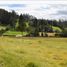  Land for sale in Tarqui, Azuay, Tarqui
