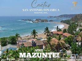  Land for sale in Dist Pochutla, Oaxaca, Dist Pochutla