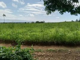  Land for sale in Sibulan, Negros Island Region, Sibulan, Negros Oriental, Negros Island Region