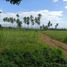  Land for sale in Sibulan, Negros Island Region, Sibulan, Negros Oriental, Negros Island Region