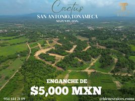  Land for sale in Dist Pochutla, Oaxaca, Dist Pochutla