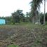  Land for sale in Bacong, Negros Oriental, Bacong