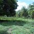  Land for sale in Bacong, Negros Oriental, Bacong