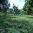  Land for sale in Bacong, Negros Oriental, Bacong