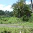  Terrain for sale in Bacong, Negros Oriental, Bacong