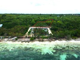  Grundstück zu verkaufen in Dauis, Central Visayas, Dauis