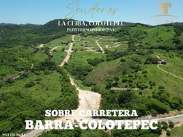  Land for sale in Dist Pochutla, Oaxaca, Dist Pochutla