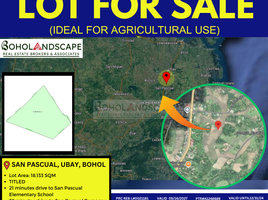  Grundstück zu verkaufen in Ubay, Central Visayas, Ubay