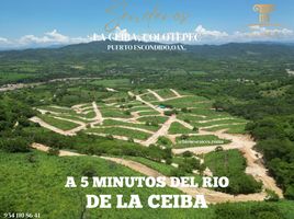  Land for sale in Dist Pochutla, Oaxaca, Dist Pochutla