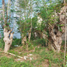  Terreno (Parcela) en venta en Quezon City, Metro Manila, Quezon City, Eastern District, Metro Manila
