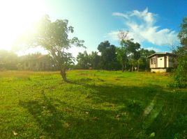 Grundstück zu verkaufen in Dauis, Central Visayas, Dauis