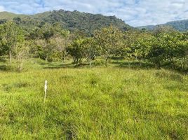  Land for sale in San Rafael, Antioquia, San Rafael