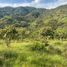  Land for sale in San Rafael, Antioquia, San Rafael