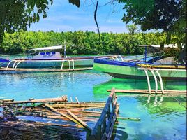  Grundstück zu verkaufen in Dauis, Central Visayas, Dauis