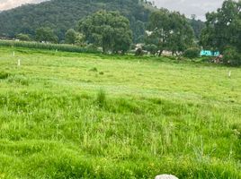  Terreno (Parcela) en venta en Otzolotepec, México, Otzolotepec, México, México