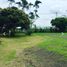  Land for sale in Valle Del Cauca, El Cerrito, Valle Del Cauca