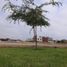  Terreno (Parcela) en venta en Piura, Piura, Piura, Piura