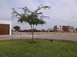  Terreno (Parcela) en venta en Piura, Piura, Piura, Piura