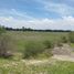  Land for sale in Silao, Guanajuato, Silao