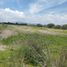 Land for sale in Silao, Guanajuato, Silao