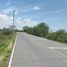  Land for sale in Silao, Guanajuato, Silao