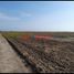  Land for sale in Paijan, La Libertad, Paijan, Ascope