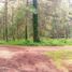  Land for sale in Charo, Michoacan, Charo
