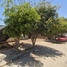 2 Bedroom House for sale in Mazatlan, Sinaloa, Mazatlan, Sinaloa