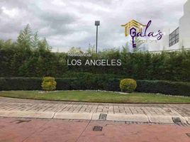  Terreno (Parcela) en venta en San Agustin Tlaxiaca, Hidalgo, San Agustin Tlaxiaca