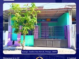 2 Bedroom House for sale in Rungkut, East Jawa, Rungkut
