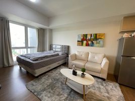  Apartment for rent in Manila International Airport LRT-1, Pasay City, Makati City