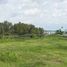  Land for sale in Anda, Ilocos, Anda