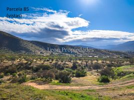  Terrain for sale in Maria Pinto, Melipilla, Maria Pinto